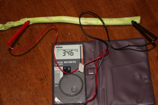 夏休みの自由研究 電気を通す物 通さない物 ぽぽず夫録 ぶろぐ